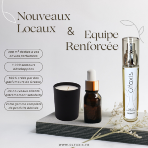 bougie et vaporisateur d'ambiance créés par Olfaxis, le laboratoire parfumé.